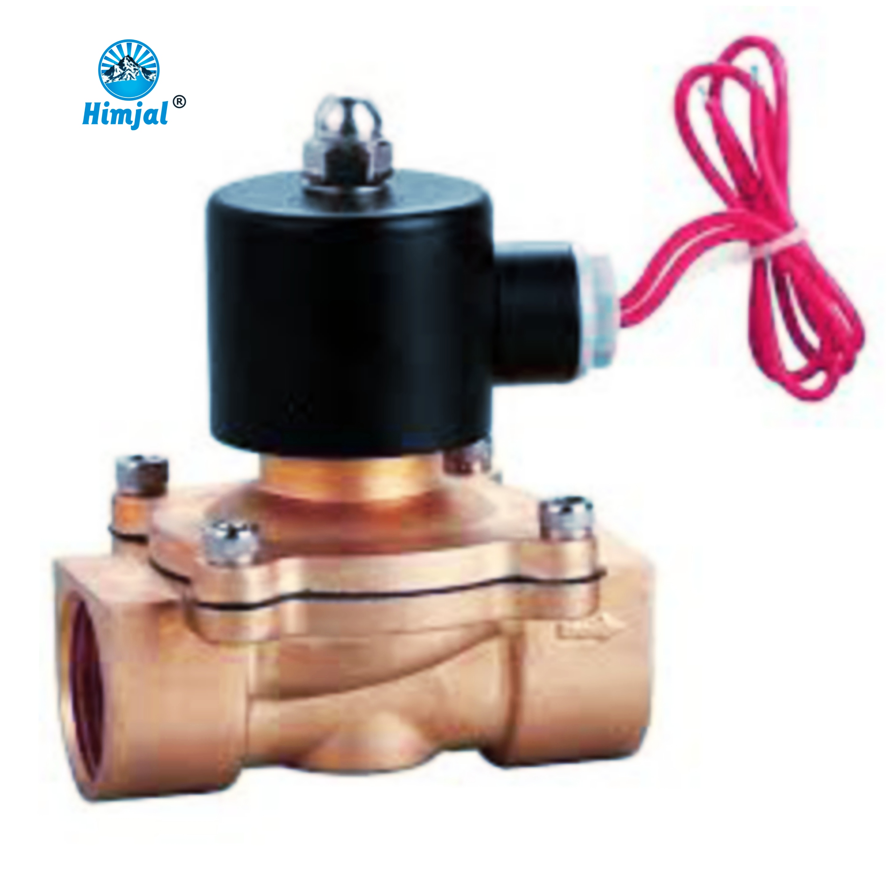 Himjal commercial and industrial Solenoid valve 